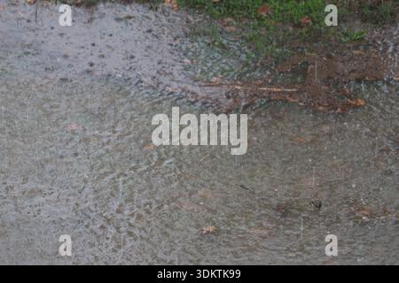 Raindrops Falling on Dark Water Surface During Rainstorm: Top View of Water Ripples and Splashes Stock Photo
