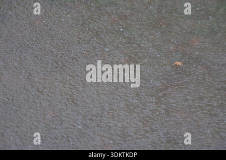 Raindrops Falling on Dark Water Surface During Rainstorm: Top View of Water Ripples and Splashes Stock Photo