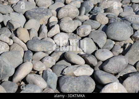 Smooth Grey River Pebbles and Stones Texture: Close-up Top View of Rounded Lake Side Rocks Glistening Under Bright Natural Sunlight in Summer Stock Photo