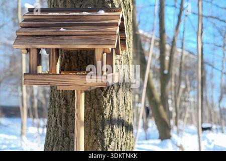 Close side view of wooden bird feeder fixed to rough tree trunk, visible grain and snow on roof, soft sunlight, blurred snow covered woodland Stock Photo