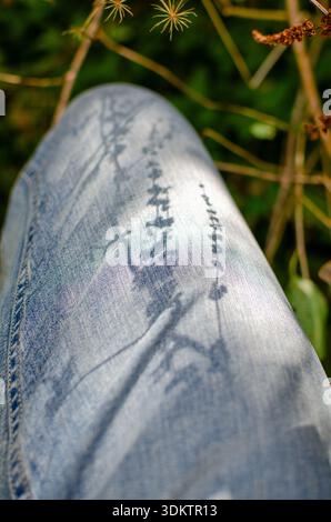 Denim Daydream: Sunlight and Shadows Dance on a Denim-Clad Leg in Nature Stock Photo