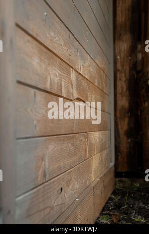 Horizontal wooden panels with visible grain and weathered texture, featuring a warped plank and darker wood structure on the right. Scattered leaves b Stock Photo