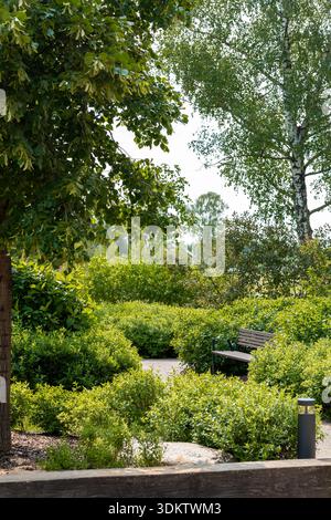 A garden features a wooden bench along a pathway, surrounded by trimmed bushes, green foliage, tall trees including a birch, and a light fixture. Stock Photo