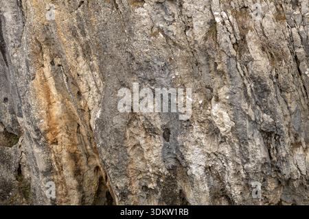 Weathered limestone rock surface with natural textures and erosion patterns Stock Photo