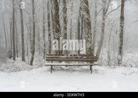 A lonely wooden bench sits in a white, frosted forest after heavy snowfall. Empty Wooden Park Bench in Snow-Covered Winter Forest. Stock Photo