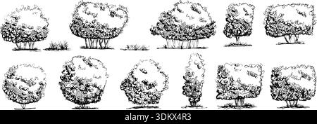 Summer trees with fruit. Bush, hedge with different topiary forms sketchy set. Black pen drawn shrubbery for a garden or park illustration. Shrub, tre Stock Vector