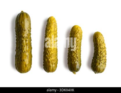 Whole pickles (pickled cucumbers) isolated on white background, top view. Stock Photo