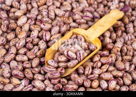 Dried legume food; dried kidney beans Stock Photo