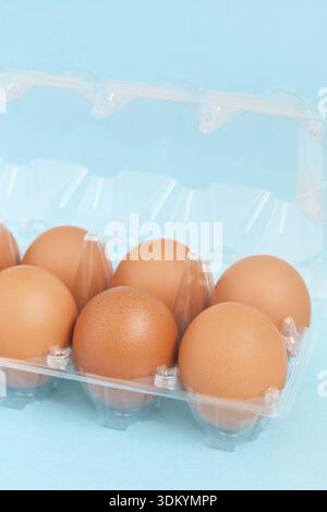 Fresh brown chicken eggs in the transparent plastic package on the light blue background Stock Photo