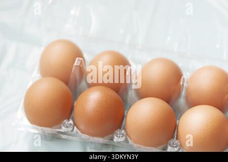 Fresh brown hens eggs in the transparent plastic package Stock Photo