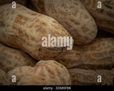 Macro close-up of a pile of roasted peanuts in shells, highlighting the detailed texture and patterns of the dried husks. Stock Photo