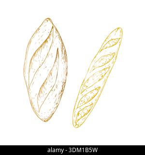 Vector set of Bread and bakery. Graphic ink loaf food, whole grain bread, ciabatta, brown homemade, baguette. Bun illustration isolated on background Stock Vector