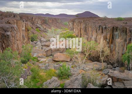 Canyon with vegetation in mountain desert landscape of Damraland, Nambia. Stock Photo