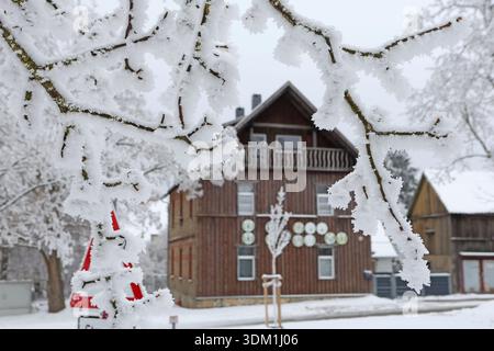 03 February 2026, Saxony-Anhalt, Harz: The landscape in the Oberharz near Hüttenrode is wintery. The heavy permafrost has covered the trees with a thick layer of frost. Photo: Matthias Bein/dpa Stock Photo