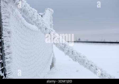03 February 2026, Saxony-Anhalt, Harz: The snow fences in the Oberharz near Hüttenrode are thick with snow. Photo: Matthias Bein/dpa Stock Photo