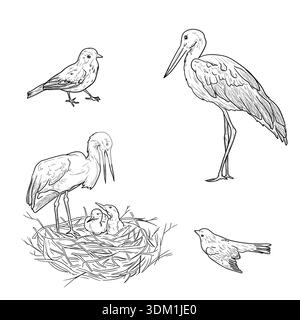 A white stork stands in a nest on the roof of an old building. Green meadow with river and flowering plants. Realistic vector summer landscape. Vector Stock Vector