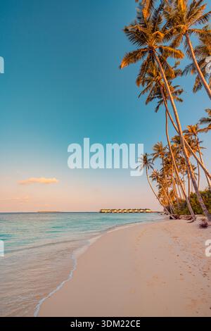Breathtaking summer landscape palm trees ocean tropical beach sunset warm golden wide shore stunning silhouette dramatic dusk wanderlust background Stock Photo