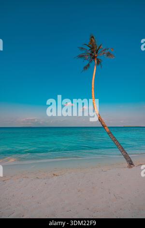 Amazing tropical beach single leaning palm tree turquoise blue ocean white sand vertical serene idyllic coastal paradise minimalist sunny background Stock Photo