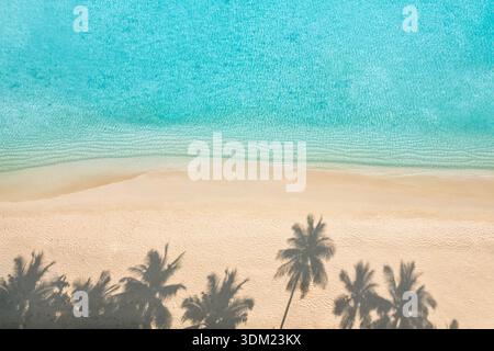 Relaxing Maldives aerial palm shadows white sand turquoise stunning top view paradise island coastal destination tranquil ocean waves shoreline scene Stock Photo