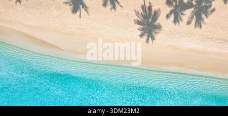 Stunning Maldives aerial palm shadows sand turquoise wider top view paradise island coastal destination dreamy panoramic tropical ocean Stock Photo