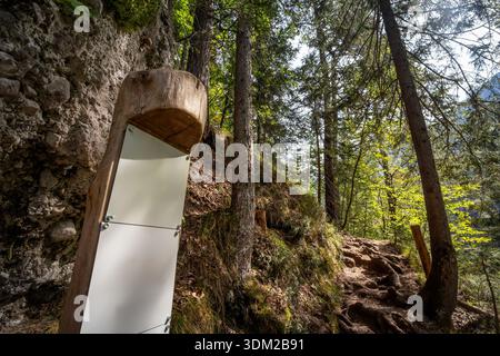 Forest hiking trail in Triglav National Park, Slovenia, with a blank wooden sign beside a rocky slope and conifer trees, lit by summer sunlight in the Stock Photo