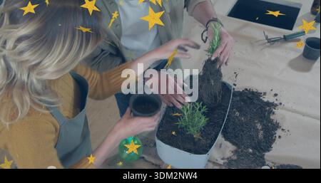 Repotting two women in aprons placing plant root ball into white planter at kitchen counter Stock Photo