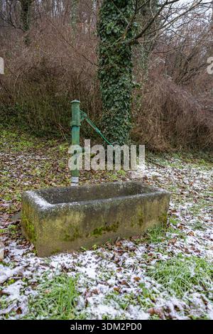 A weathered green hand pump stands beside a moss-covered concrete trough in a cold, wintry setting. Ivy climbs a tree while a light dusting of snow co Stock Photo