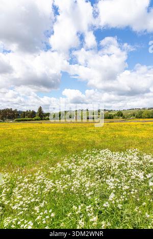 The Village, Catton, Northumberland Stock Photo - Alamy