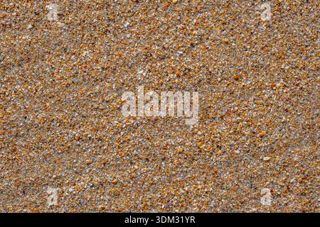 Top-down view of a sandy beach surface, creating a natural and detailed background texture of coarse sand grains and tiny pebbles. Stock Photo