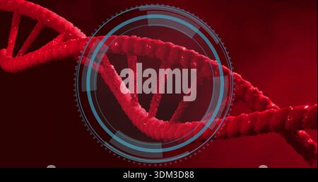 Displaying red double-helix DNA strand rotating in scientific visualization, with blue HUD overlay Stock Photo