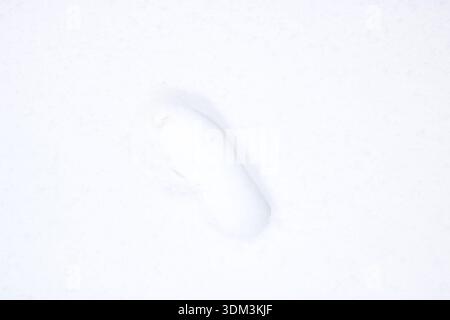 Solitary footprint in fresh snow, single deep impression with crisp edges and smooth surrounding powder, evokes journey, Stock Photo