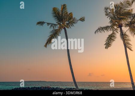 Dramatic tropical sunset, two palm trees silhouetted against vivid orange golden sky, breathtaking beach landscape, luminous dreamy travel destination Stock Photo