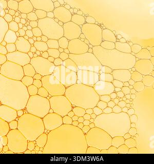 Close-up of yellow liquid bubbles in organic geometric formation, warm glossy surface with soft highlights, even illumination, abstract macro cool . Stock Photo
