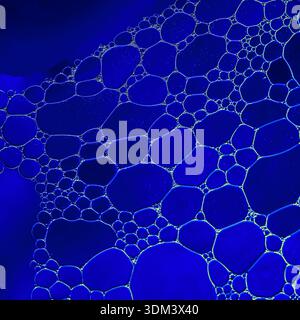 Tight macro of deep blue liquid bubbles forming abstract cell network, reflective glossy finish with sharp contours, cool tones. Abstract macro cool Stock Photo