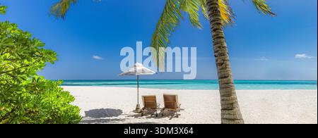 Low angle view of palm trees against clear blue sky tropical island Maldives summer vacation background wellness nature scenery Stock Photo