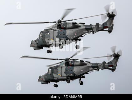 Royal Navy AW159 Wildcat helicopters flying in formation during an air display under dramatic grey skies in the UK. Stock Photo