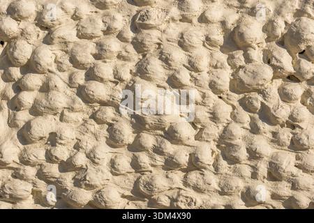 Textured rough stucco wall surface showing abstract bumps and shadows Stock Photo