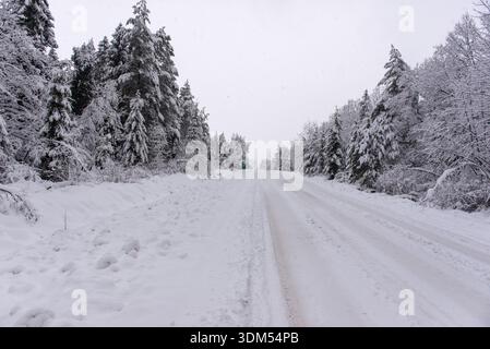Winter forest road covered with fresh snow after heavy snowfall. Snowy trees along an empty countryside road creating a calm winter landscape with cop Stock Photo