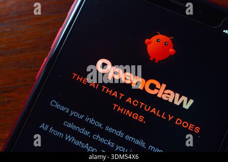 Close-up of a smartphone displaying the OpenClaw AI assistant website, showcasing branding and tagline with red-orange accents. Stock Photo