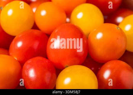 Raw Organic Multi Colored Cherry Tomatoes in a Bowl Stock Photo