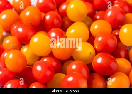 Raw Organic Multi Colored Cherry Tomatoes in a Bowl Stock Photo