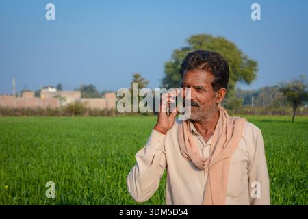 Indian farmer talking on mobile phone while standing in green crop field Stock Photo