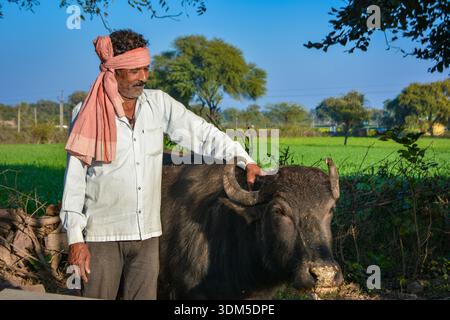 Indian farmer standing with his buffalo Stock Photo