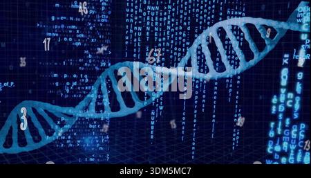 Running cyan-blue DNA helix angling across virtual lab, showing numeric markers and code columns Stock Photo