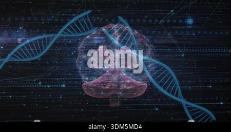 Displaying translucent pink neural form glowing in digital field, with cyan DNA strands and nodes Stock Photo