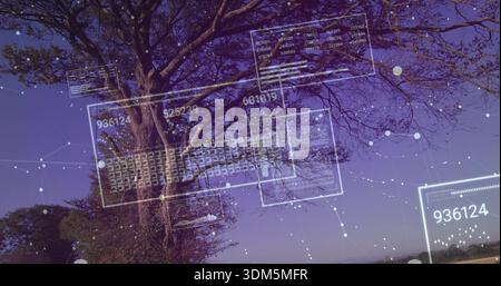 Displaying large deciduous tree projecting UI panels across dusk park horizon, numeric codes, nodes Stock Photo