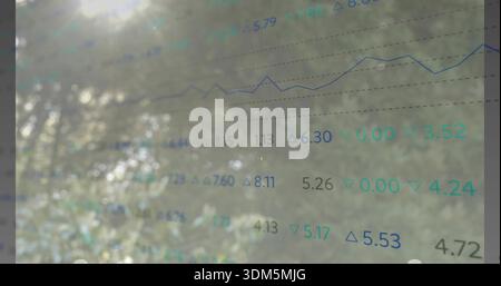 Displaying translucent line chart overlay filling center over trees and glare, showing teal tickers Stock Photo
