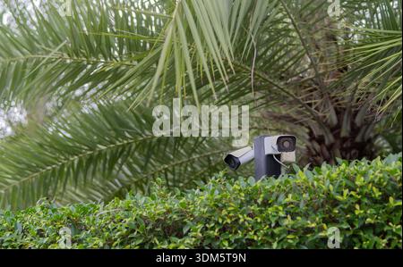 Two outdoor CCTV security surveillance cameras mounted on building corner in the garden. CCTV security camera surveillance in the park. Stock Photo