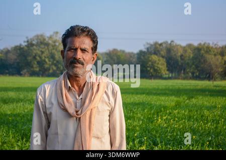 Indian farmer standing in green crop field looking at camera Stock Photo