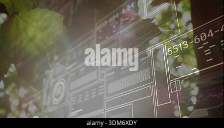 Displaying semi-transparent wireframe interface hovering over canopy, leaf left, showing 5513-604- Stock Photo